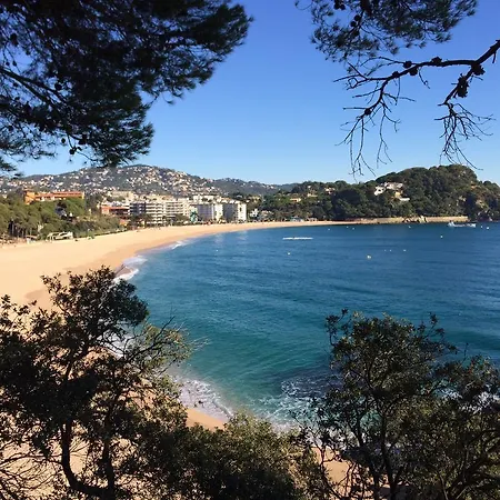 Lloret Fenals Antilles
